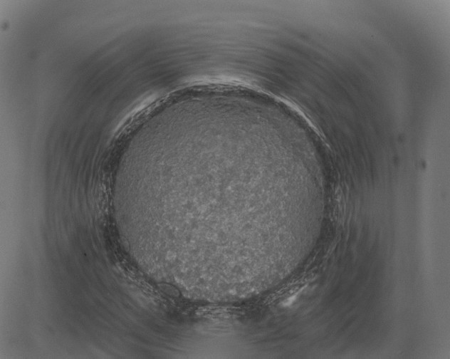 X0000084540967200703091649