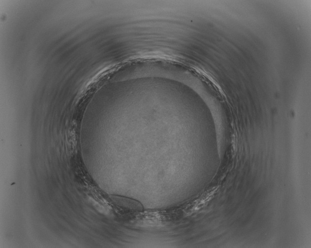 X0000084540968200703091649