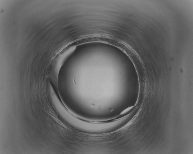 X0000084540969200703091649