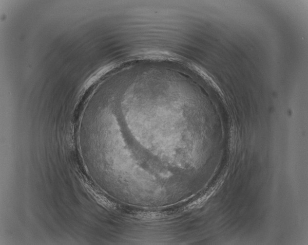 X0000084540970200703091649