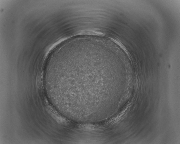 X0000084540971200703091649