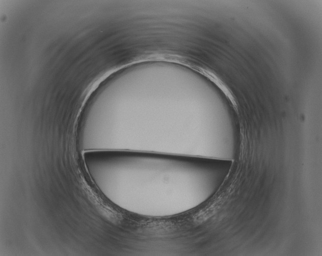 X0000084540972200703091649