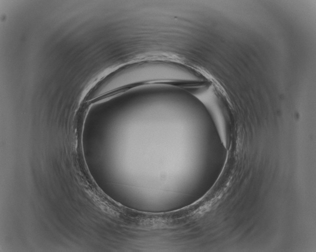 X0000084540973200703091649