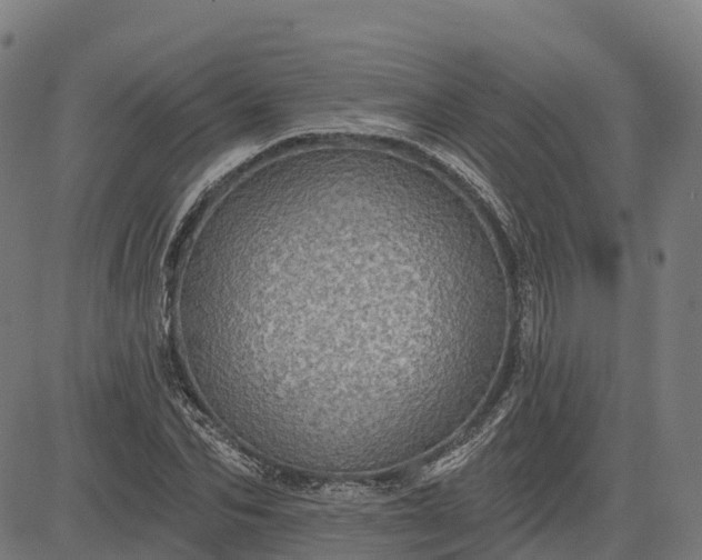 X0000084540974200703091649