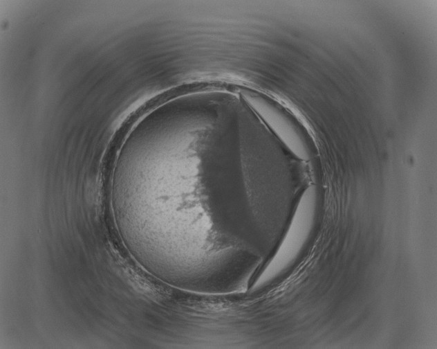 X0000084540975200703091649