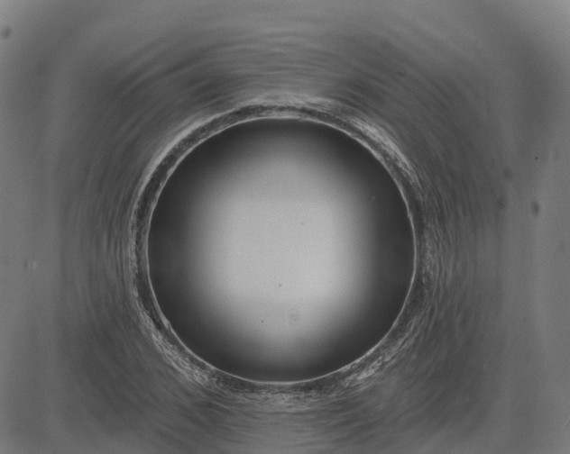 X0000084540976200703091649