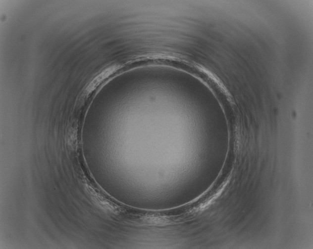 X0000084540977200703091649