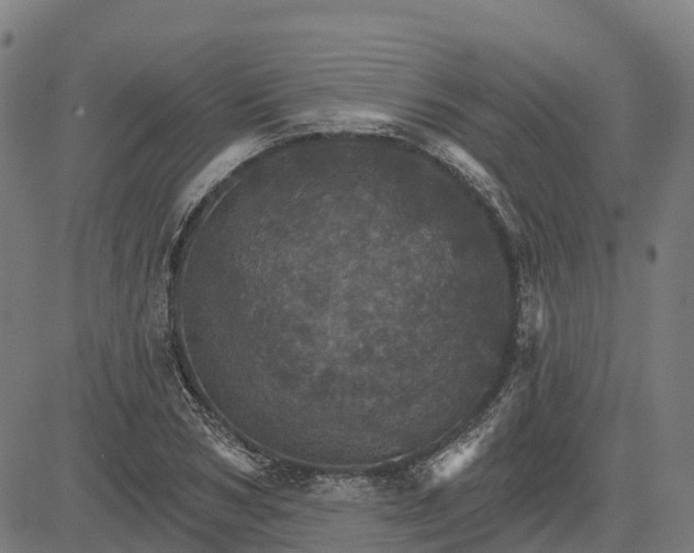 X0000084540978200703091649