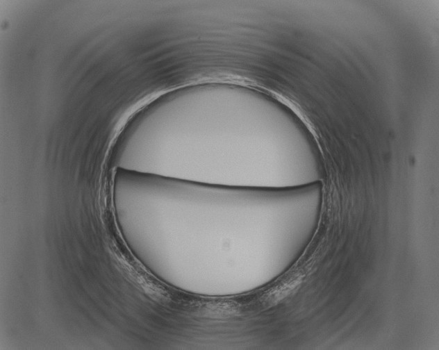 X0000084540979200703091649