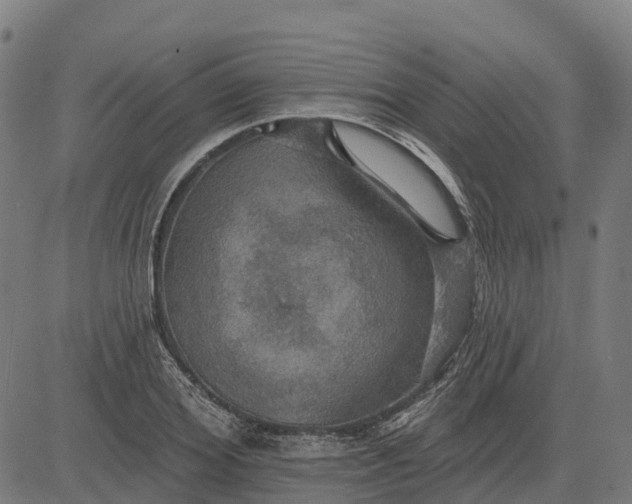 X0000084540980200703091649