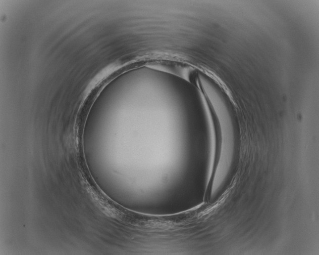 X0000084540981200703091649