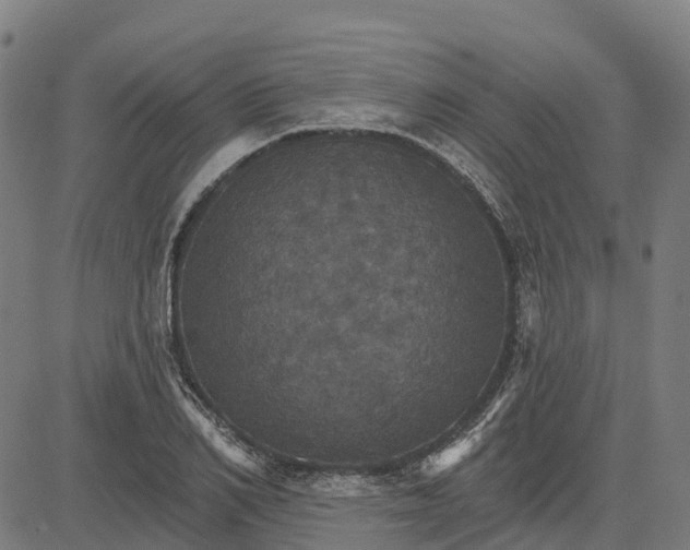 X0000084540982200703091649