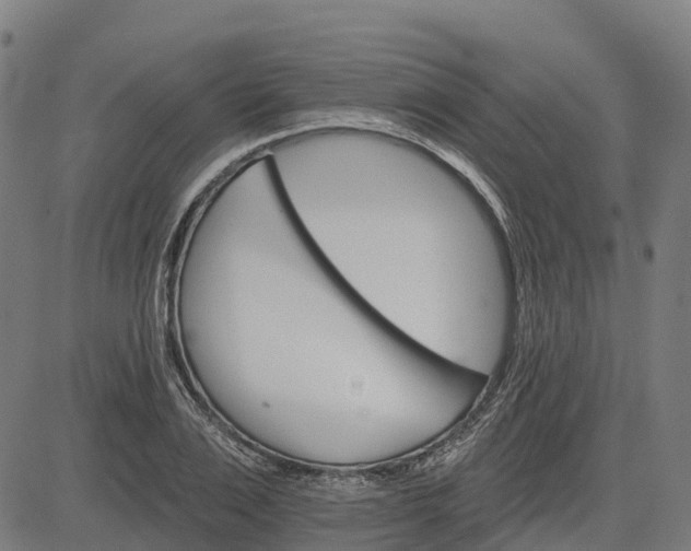 X0000084540983200703091649