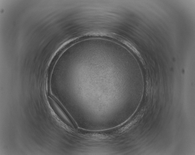 X0000084540984200703091649