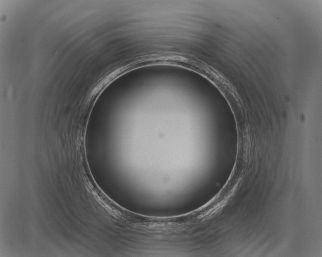 X0000084540985200703091649