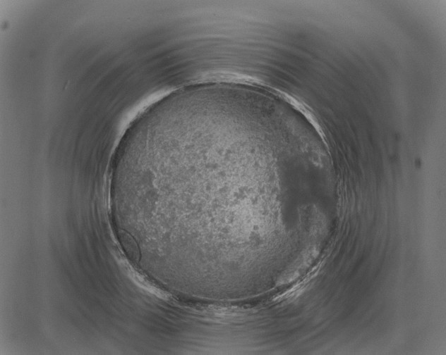 X0000084540987200703091649