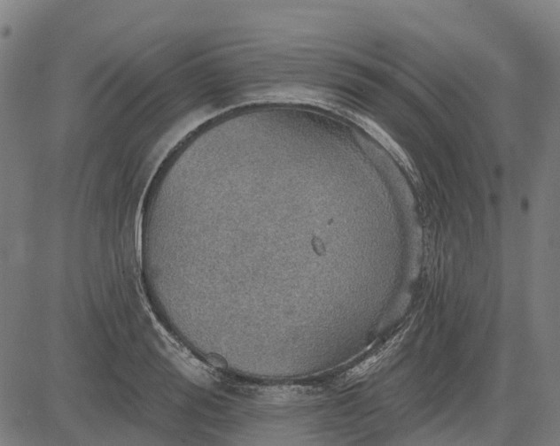 X0000084540988200703091649