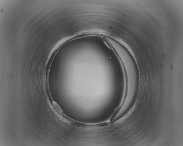 X0000084540989200703091649