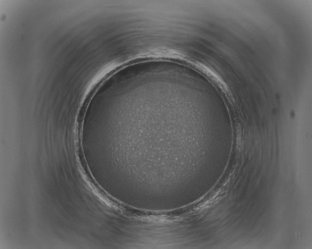 X0000084540990200703091649