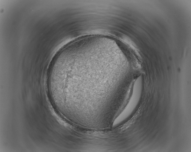 X0000084540991200703091649