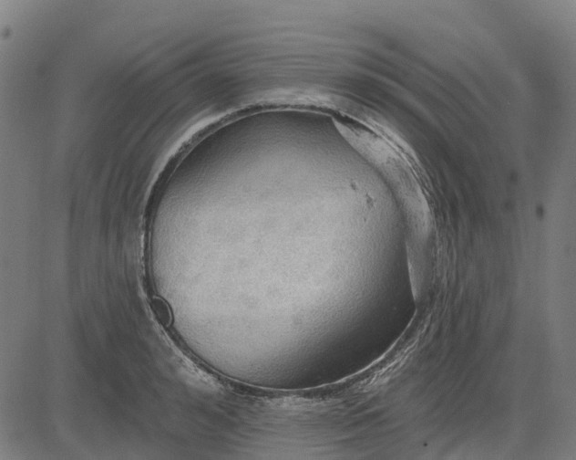 X0000084540992200703091649