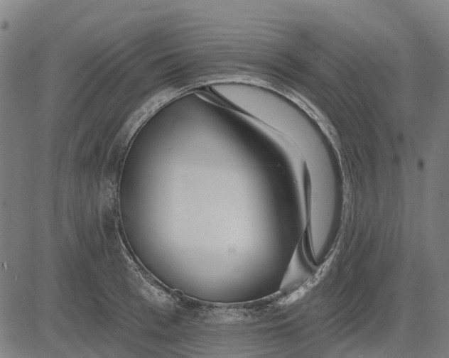 X0000084540993200703091649