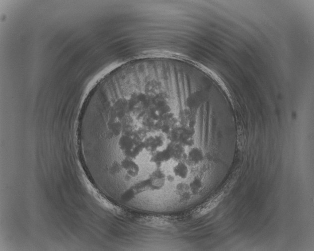 X0000084540995200703091649