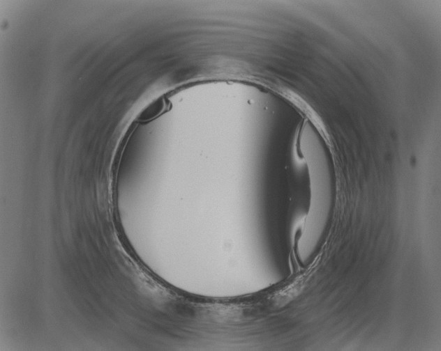 X0000084540996200703091649