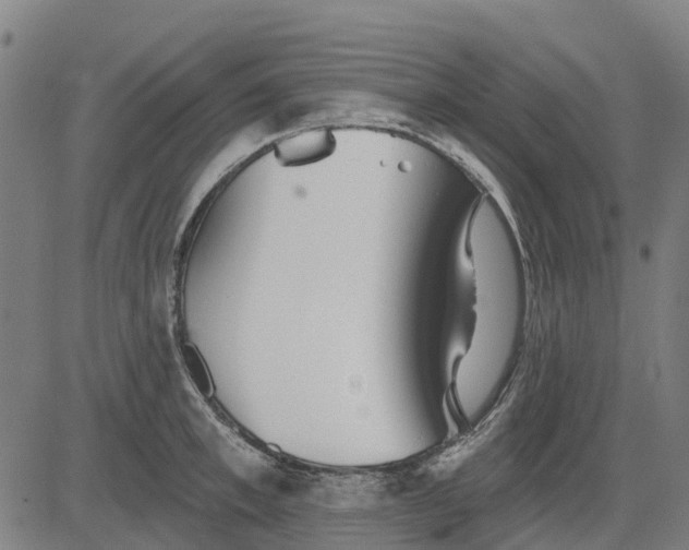 X0000084540997200703091649