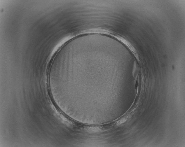 X0000084540998200703091649