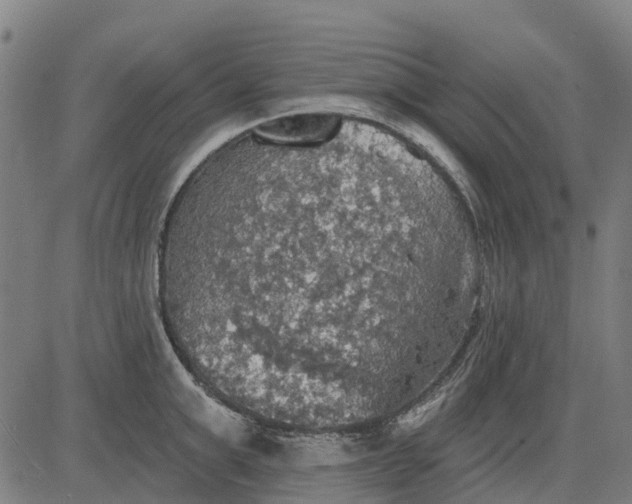 X0000084540999200703091649