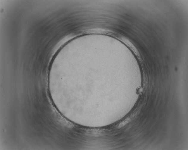 X0000084541000200703091649