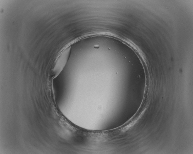 X0000084541001200703091649