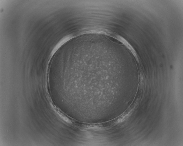 X0000084541002200703091649