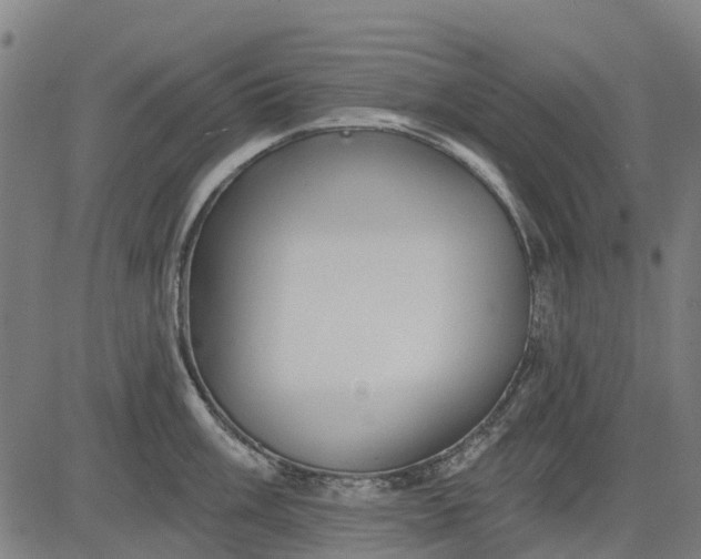 X0000084541003200703091649