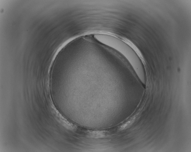 X0000084541004200703091649