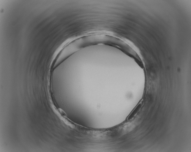 X0000084541005200703091649