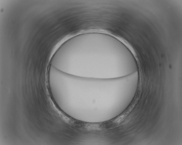 X0000084541006200703091649