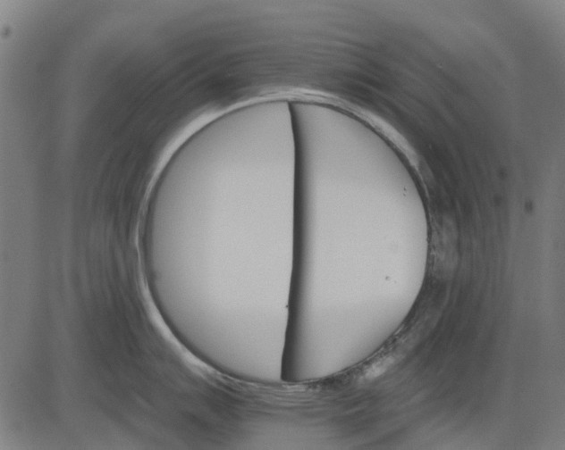 X0000084541007200703091649