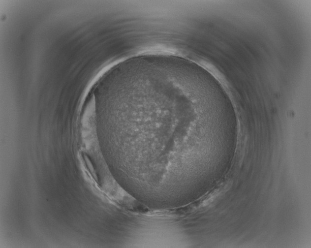 X0000084541008200703091649