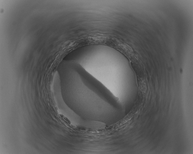 X0000084541009200703091648