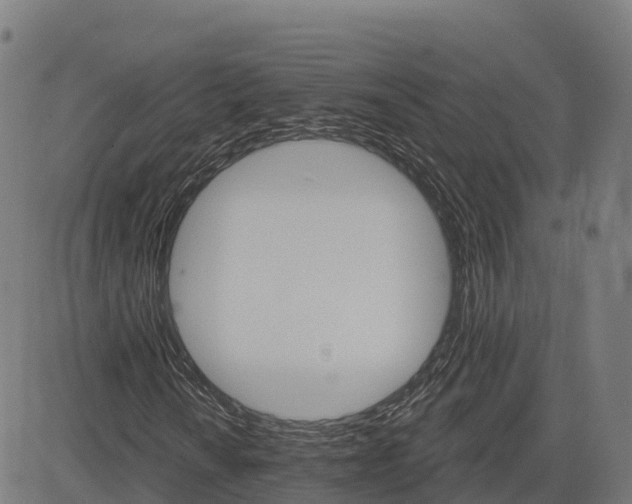 X0000084541010200703091648