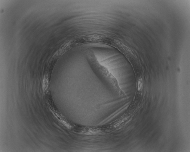 X0000084541011200703091648