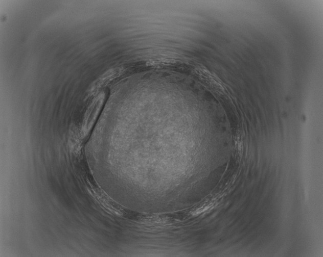 X0000084541012200703091648