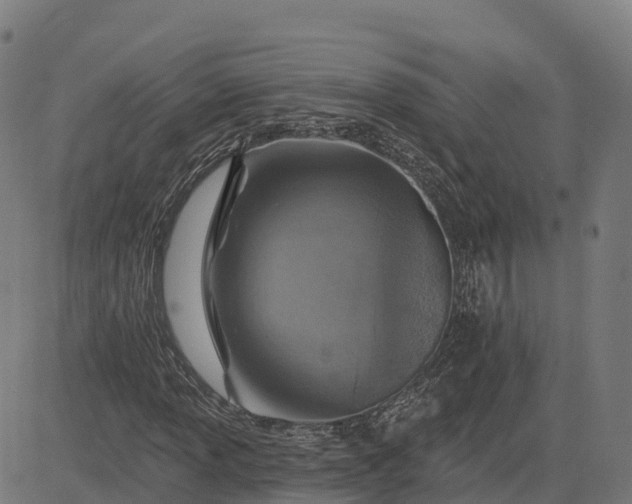 X0000084541013200703091648