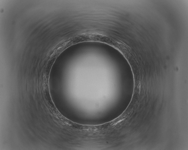 X0000084541014200703091648