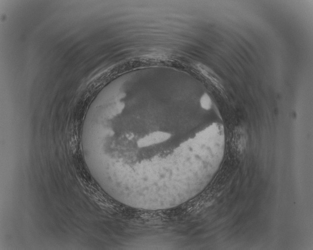 X0000084541015200703091648