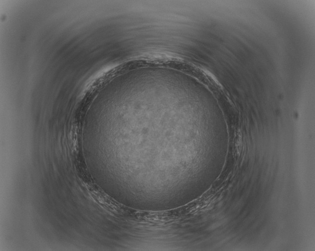 X0000084541016200703091648