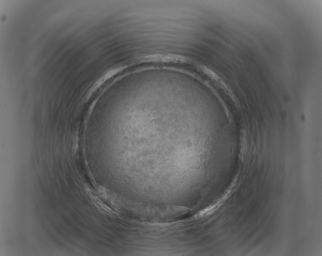 X0000084541017200703091648