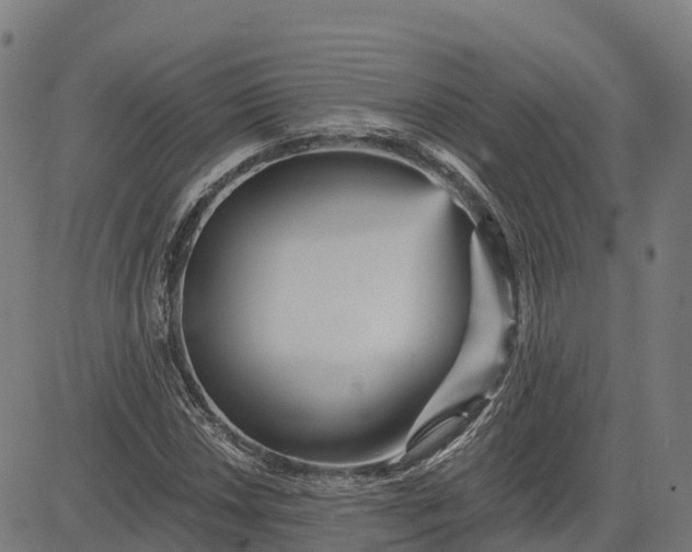 X0000084541018200703091648